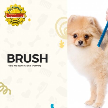 Brush