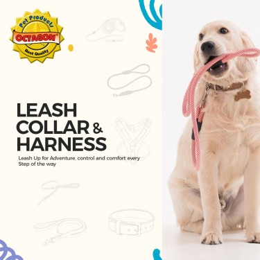 Leash, Collar & Harness